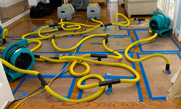 Professional Burst Pipe Water Damage technician working in Orfordville, WI